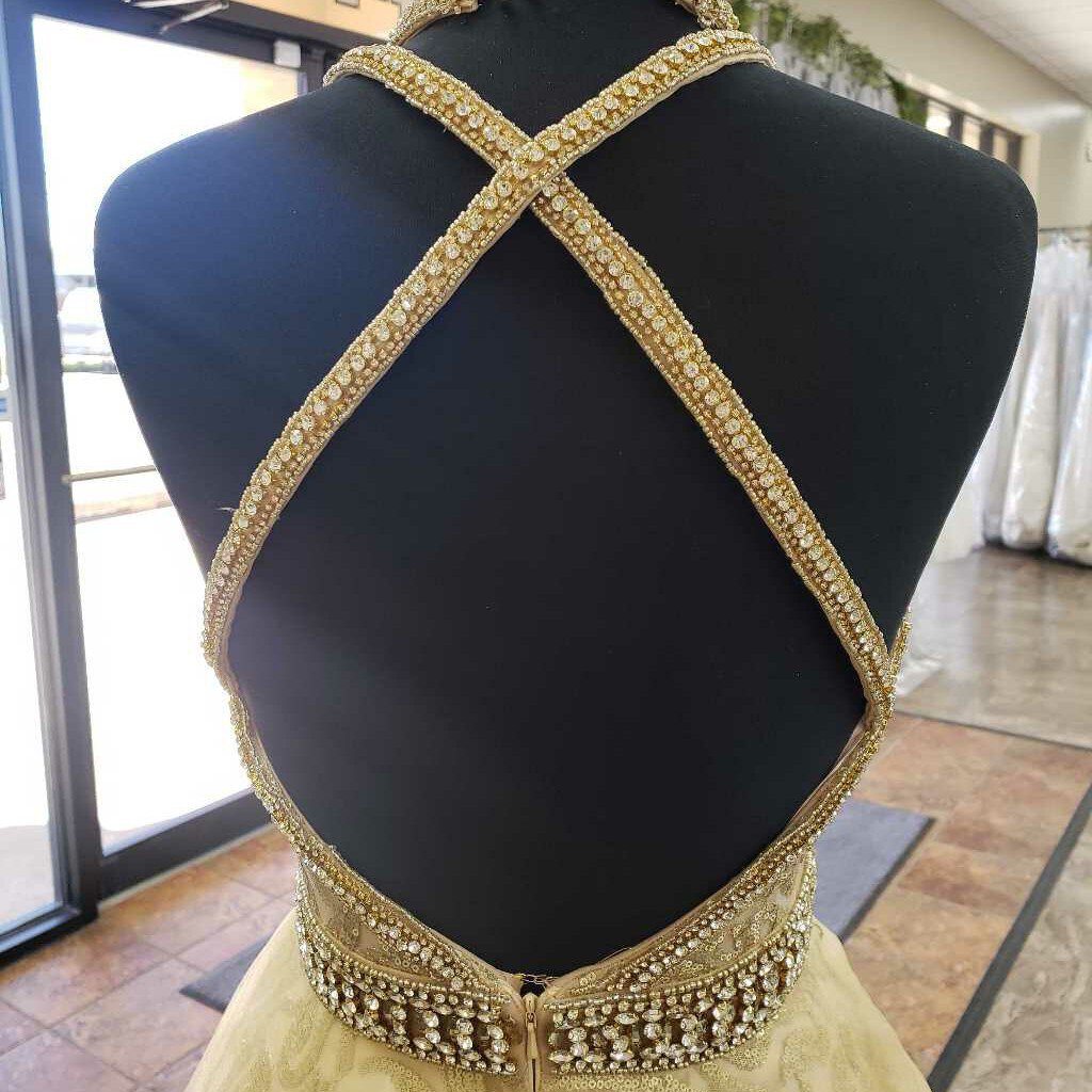 Ballgown with High Neck and Open Back